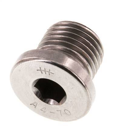 G 1/4'' RVS Plug met Binnenzeskant 40 Bar