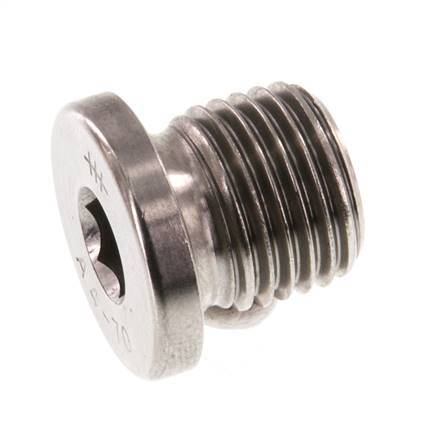 G 1/4'' RVS Plug met Binnenzeskant 40 Bar