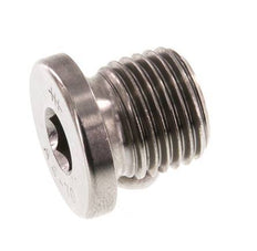 G 1/4'' RVS Plug met Binnenzeskant 40 Bar