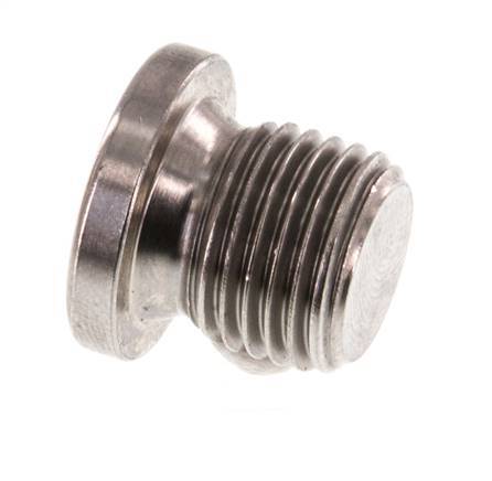 G 1/4'' RVS Plug met Binnenzeskant 40 Bar