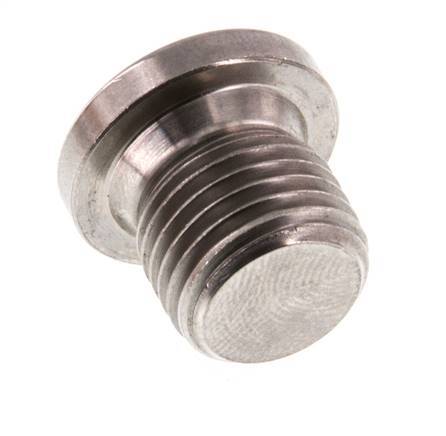 G 1/4'' RVS Plug met Binnenzeskant 40 Bar