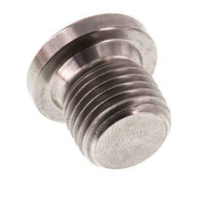 G 1/4'' RVS Plug met Binnenzeskant 40 Bar