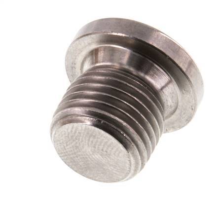 G 1/4'' RVS Plug met Binnenzeskant 40 Bar