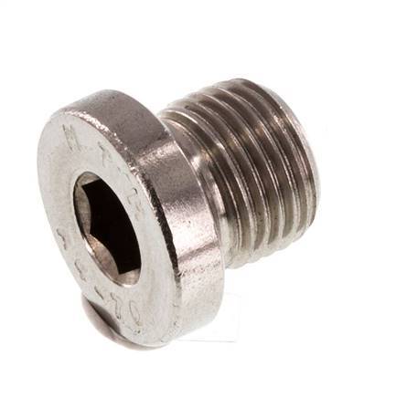 G 1/8'' RVS Plug met Binnenzeskant 40 Bar