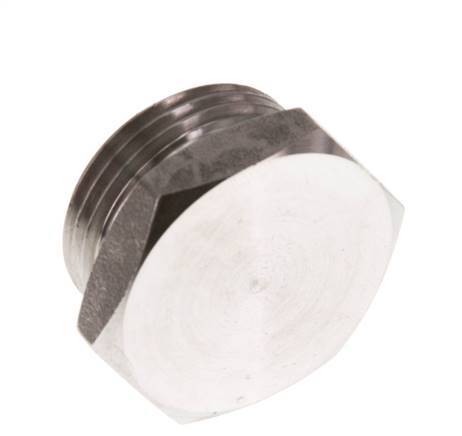 G 3/4'' RVS Plug met Buitenzeskant 40 Bar