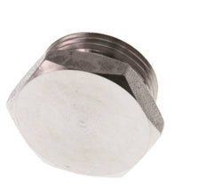 G 3/4'' RVS Plug met Buitenzeskant 40 Bar