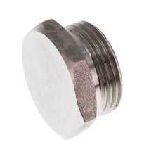 G 3/4'' RVS Plug met Buitenzeskant 40 Bar