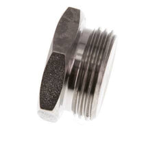 G 3/4'' RVS Plug met Buitenzeskant 40 Bar