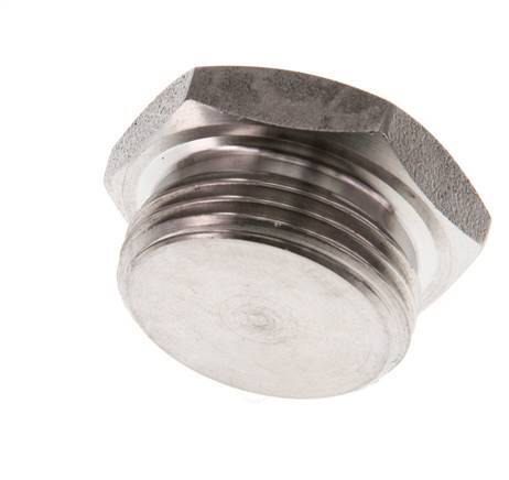 G 3/4'' RVS Plug met Buitenzeskant 40 Bar