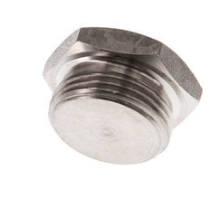 G 3/4'' RVS Plug met Buitenzeskant 40 Bar
