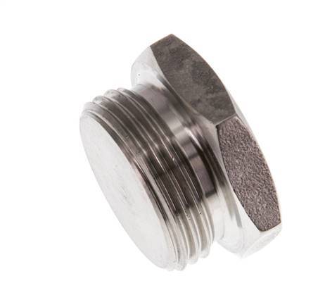 G 3/4'' RVS Plug met Buitenzeskant 40 Bar