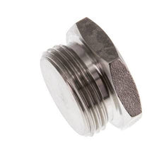G 3/4'' RVS Plug met Buitenzeskant 40 Bar