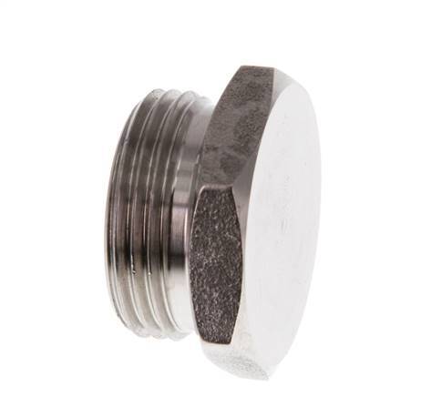 G 3/4'' RVS Plug met Buitenzeskant 40 Bar