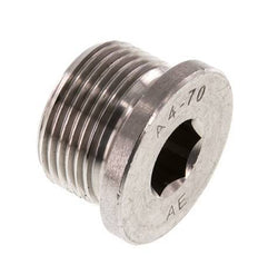 G 3/4'' RVS Plug met Binnenzeskant 40 Bar