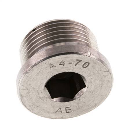 G 3/4'' RVS Plug met Binnenzeskant 40 Bar