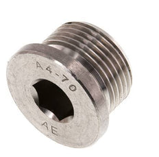 G 3/4'' RVS Plug met Binnenzeskant 40 Bar