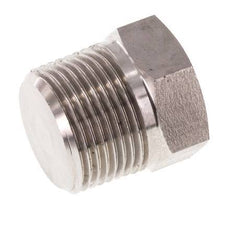 3/4'' NPT Buitendraad RVS Plug met Buitenzeskant 170 Bar