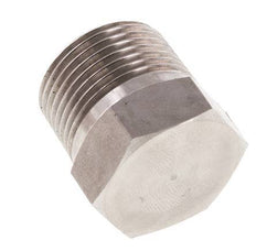 3/4'' NPT Buitendraad RVS Plug met Buitenzeskant 170 Bar