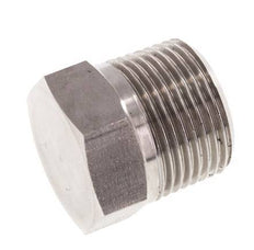 3/4'' NPT Buitendraad RVS Plug met Buitenzeskant 170 Bar