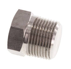 3/4'' NPT Buitendraad RVS Plug met Buitenzeskant 170 Bar