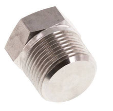 3/4'' NPT Buitendraad RVS Plug met Buitenzeskant 170 Bar