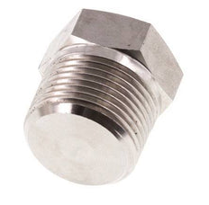 3/4'' NPT Buitendraad RVS Plug met Buitenzeskant 170 Bar