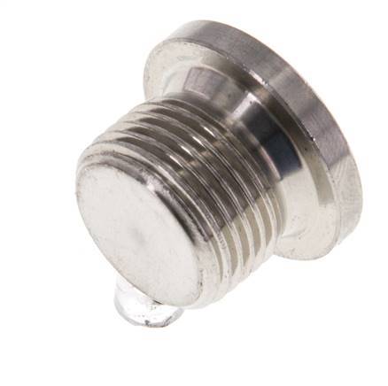 G 3/8'' RVS Plug met Binnenzeskant 40 Bar