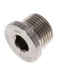 G 3/8'' RVS Plug met Binnenzeskant 40 Bar