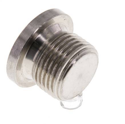 G 3/8'' RVS Plug met Binnenzeskant 40 Bar