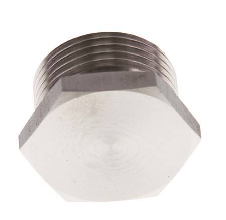 G 1'' RVS Plug met Buitenzeskant 40 Bar