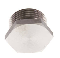 G 1'' RVS Plug met Buitenzeskant 40 Bar