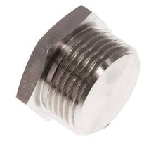 G 1'' RVS Plug met Buitenzeskant 40 Bar
