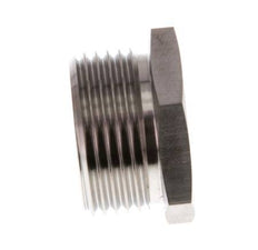 G 1'' RVS Plug met Buitenzeskant 40 Bar