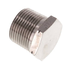 1'' NPT Buitendraad RVS Plug met Buitenzeskant 140 Bar