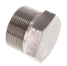 1 1/2'' NPT Buitendraad RVS Plug met Buitenzeskant 70 Bar