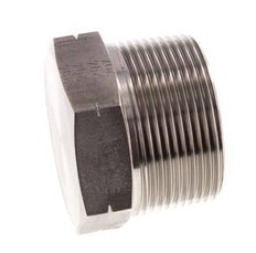 1 1/2'' NPT Buitendraad RVS Plug met Buitenzeskant 70 Bar