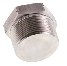 1 1/2'' NPT Buitendraad RVS Plug met Buitenzeskant 70 Bar