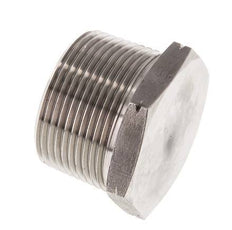 1 1/4'' NPT Buitendraad RVS Plug met Buitenzeskant 80 Bar