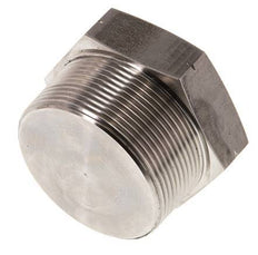 2'' NPT Buitendraad RVS Plug met Buitenzeskant 70 Bar