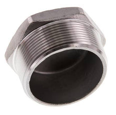 2'' NPT Buitendraad RVS Plug met Buitenzeskant 16 Bar
