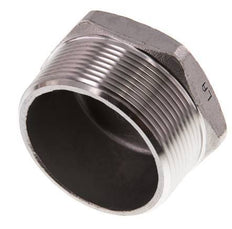 2'' NPT Buitendraad RVS Plug met Buitenzeskant 16 Bar