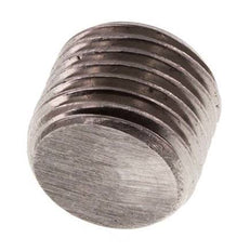 G 1/4'' RVS Plug met Binnenzeskant zonder kraag 40 Bar