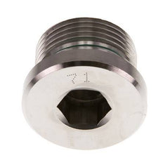 G 3/4'' Buitendraad RVS Plug met Binnenzeskant en FKM Afdichting 400 Bar