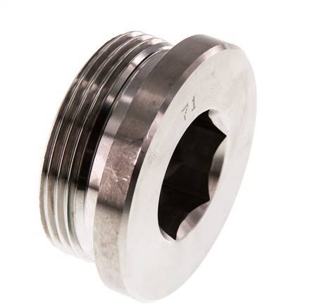 G 1 1/2'' Buitendraad RVS Plug met Binnenzeskant en FKM Afdichting 250 Bar