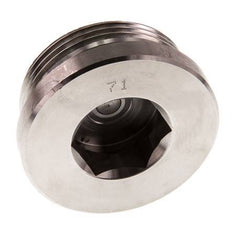 G 1 1/2'' Buitendraad RVS Plug met Binnenzeskant en FKM Afdichting 250 Bar