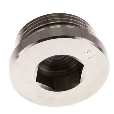 G 1 1/4'' Buitendraad RVS Plug met Binnenzeskant en FKM Afdichting 250 Bar