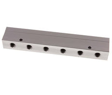 2xG 1/2'' x 12xG 1/4'' Aluminium Verdeelblok Dubbelzijdig 16 Bar