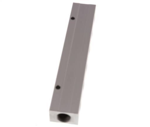 2xG 1/2'' x 12xG 1/4'' Aluminium Verdeelblok Dubbelzijdig 16 Bar