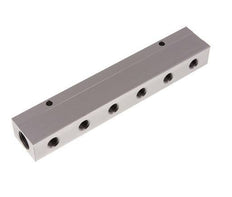 2xG 1/2'' x 12xG 1/4'' Aluminium Verdeelblok Dubbelzijdig 16 Bar