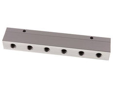 2xG 1/2'' x 12xG 1/4'' Aluminium Verdeelblok Dubbelzijdig 16 Bar